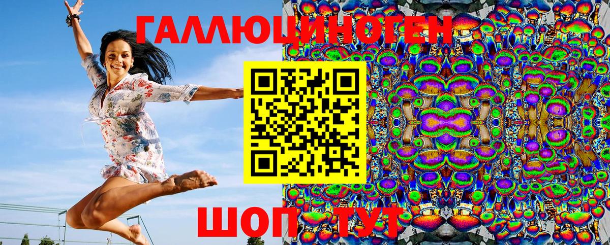 Галлюциногенные грибы Psilocybine cubensis Северск