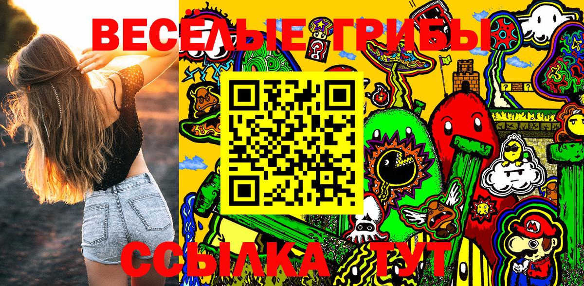 Галлюциногенные грибы Cubensis  Галлюциногенные грибы MAGIC MUSHROOMS  Вход с VPN  Северск 